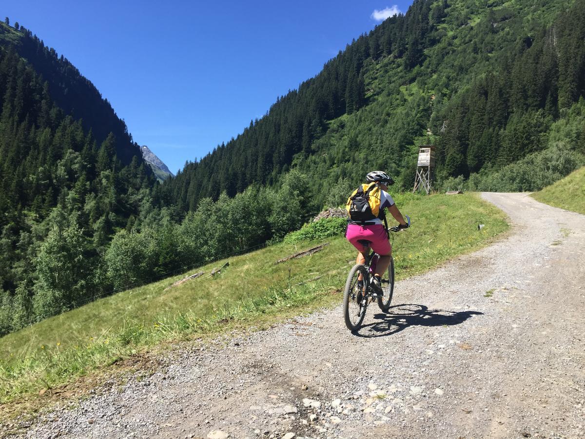 Hotel Pension Der Steinbock - Das 300 Jahre Alte Bauernhaus - Tirol Sankt Anton am Arlberg Esterno foto