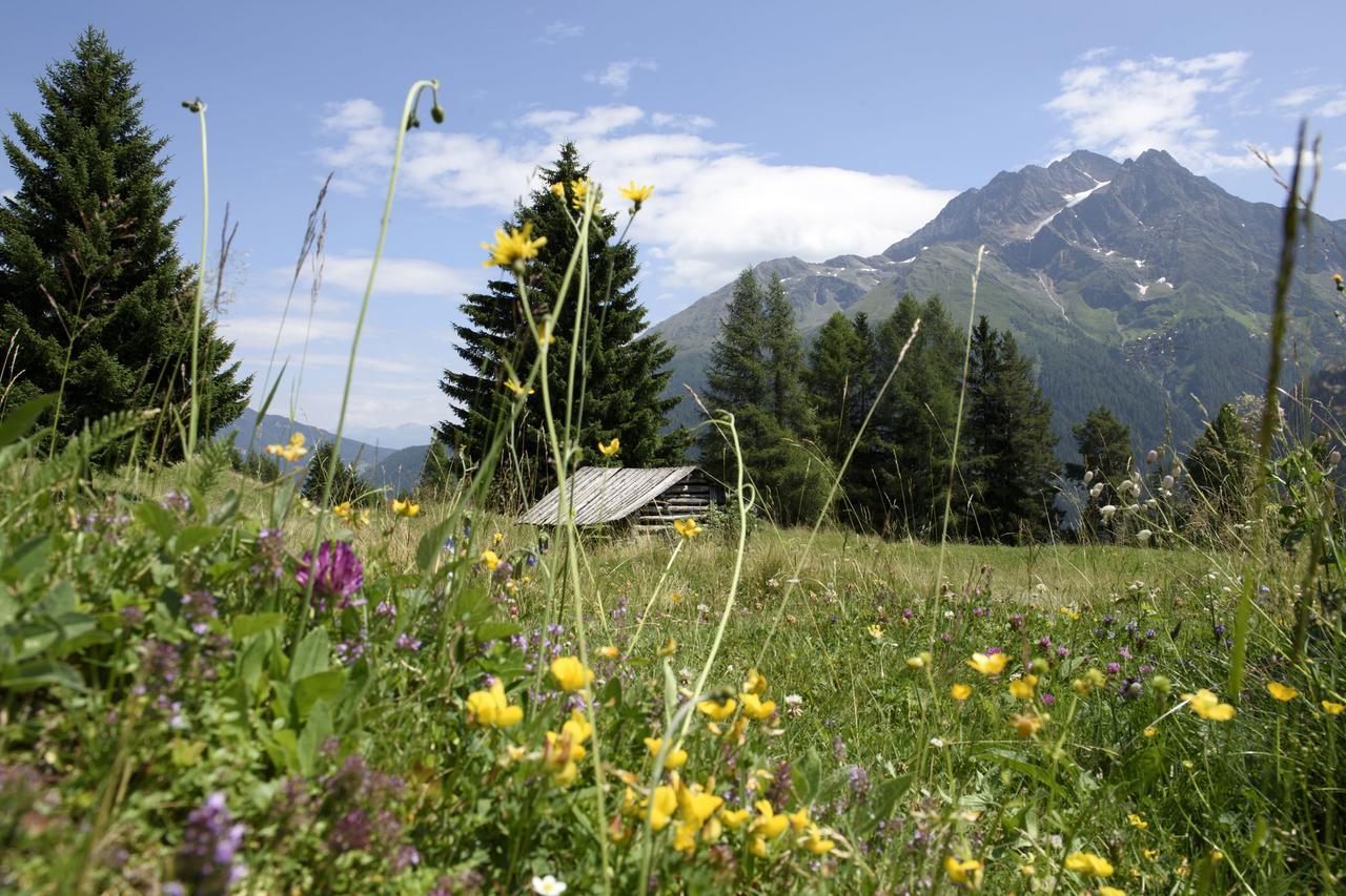 Hotel Pension Der Steinbock - Das 300 Jahre Alte Bauernhaus - Tirol Sankt Anton am Arlberg Esterno foto